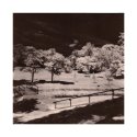 Lakeside Park IR - Caffenol