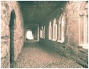 Bective Abbey