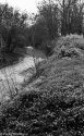 Testing some Fomapan Classic 100