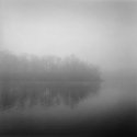 Foggy Morning #2, Hines Park