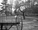 Expired Tri-X visits private farm property near a pond in Ashford, CT