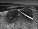 Twin boats