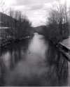 streamside