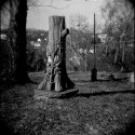Tree of Stone