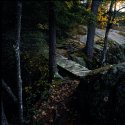 McLeod Pond # 3