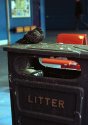 Pigeon Trash