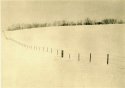Fence Line