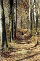 I took the one less traveled by