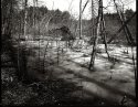 Concord,  Early Spring