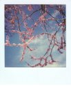 Impossible - Instant Spring no. 1