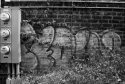 Nature's Graffiti