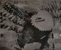 Eagle 6
