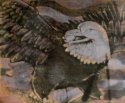 Eagle 1