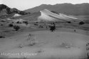 Ibex Dunes