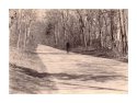 Point Pelee, Spring X-Ray film