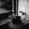Red filter Test Shots