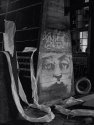Face at Solvay