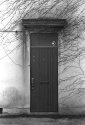 door-and-vines