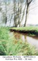 Egelbeek #01 (WPPD-2013)