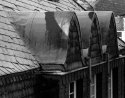 Winter Roof