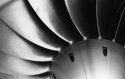 Fan Blades