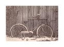 Winter Wheels - Caffenol Faux Lith