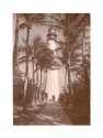 Caffenol - Faux Lith Cape Florida Light