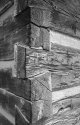 Logs