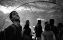 Inside the aquarium