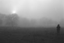 Foggy Yawn