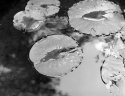 surfaces