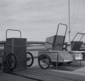 carts squirrel island maine