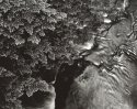 Mill Creek from Above
