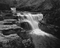 Kisden Force