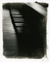 Following light & darkness