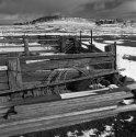 Old Stock Yards