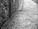Cobblestones in the rain