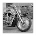 V-Rod