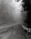 into the mystic