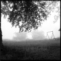 Morning Fog; Photostock 2013