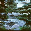 Breck music