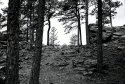 Black Hills, SD - 1