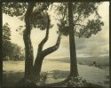 Little Mountain, gum print from Titan neg