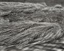 Swept Grasses, Tom's Run
