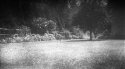 Garden - Another "success" Shooting and Developing 1947 Verichrome Nitrite film