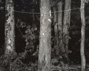 Camp Clothesline