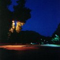Twilight Street