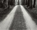 Fire Tower Road