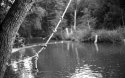 Rope swing