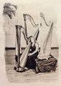 Harpist